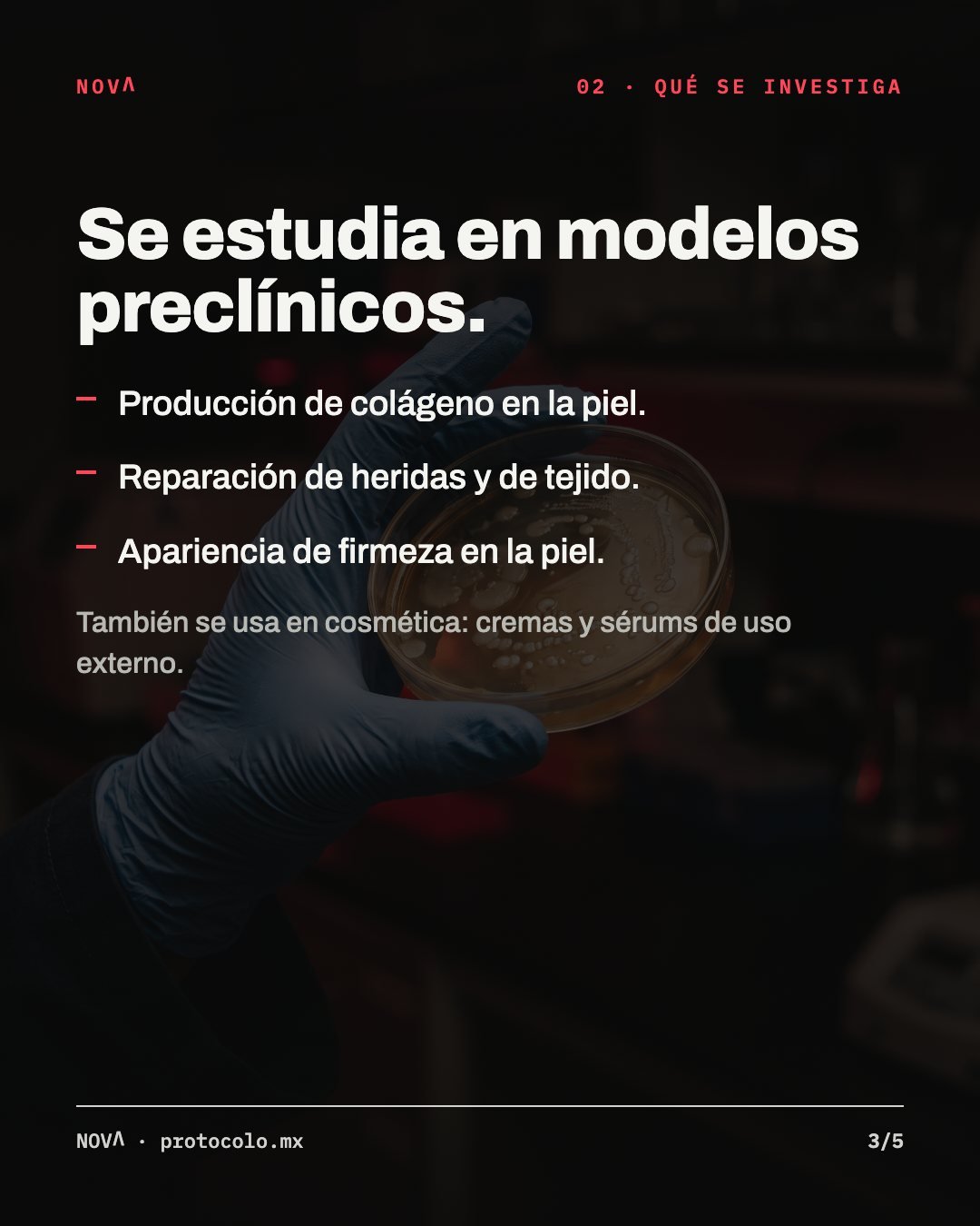 Qué se investiga, en modelos preclínicos: producción de colágeno en la piel, reparación de heridas y de tejido, y apariencia de firmeza en la piel. También se usa en cosmética, en cremas y sérums de uso externo.