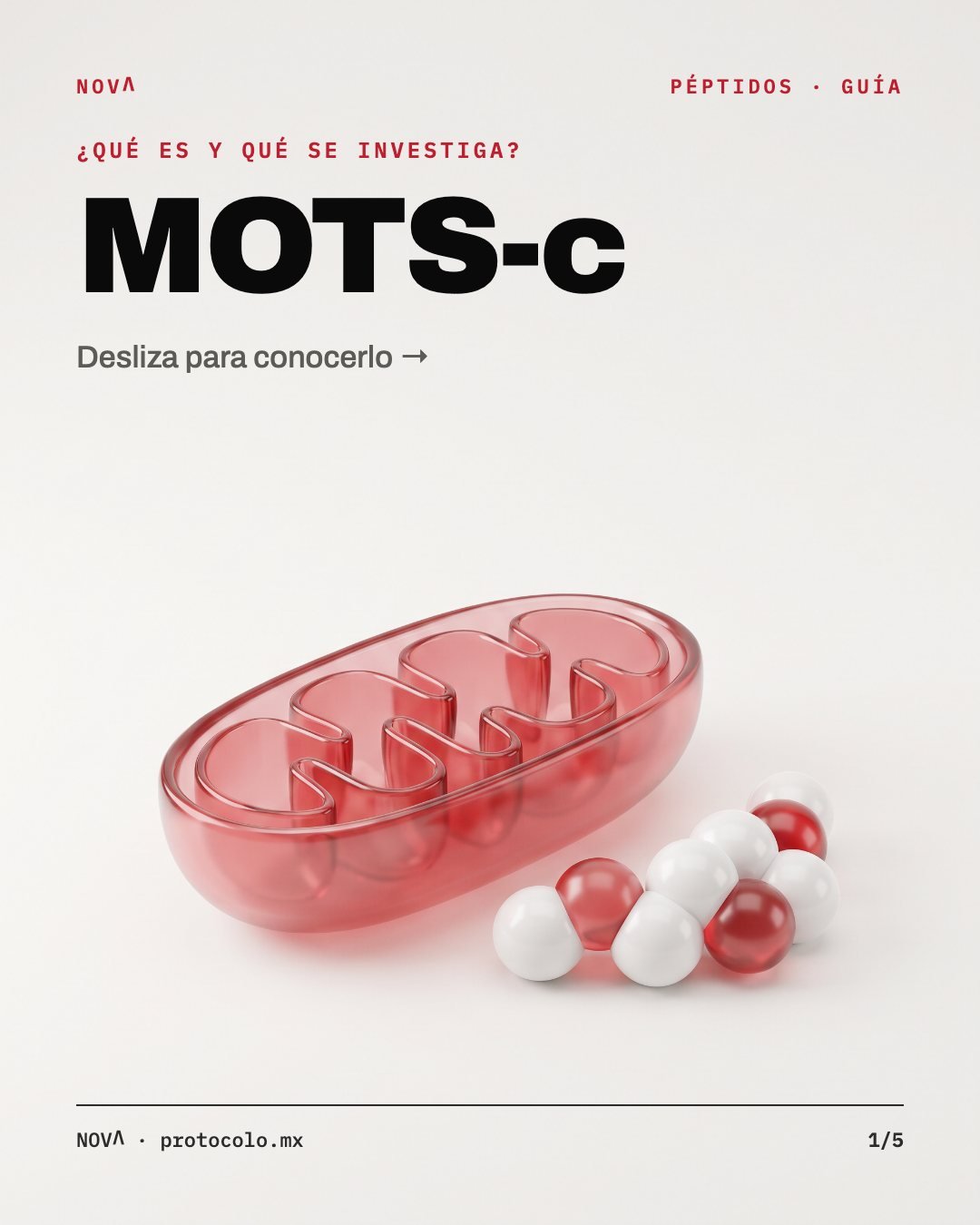 Portada: ¿Qué es y qué se investiga? MOTS-c. Ilustración de la molécula.