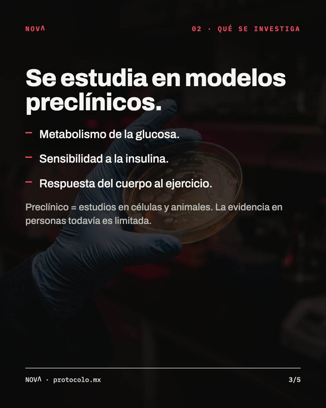 Qué se investiga, en modelos preclínicos: metabolismo de la glucosa, sensibilidad a la insulina y respuesta del cuerpo al ejercicio. La evidencia en personas todavía es limitada.
